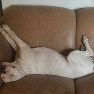 Meet your Posher, Joseph